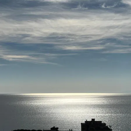 Panoramic